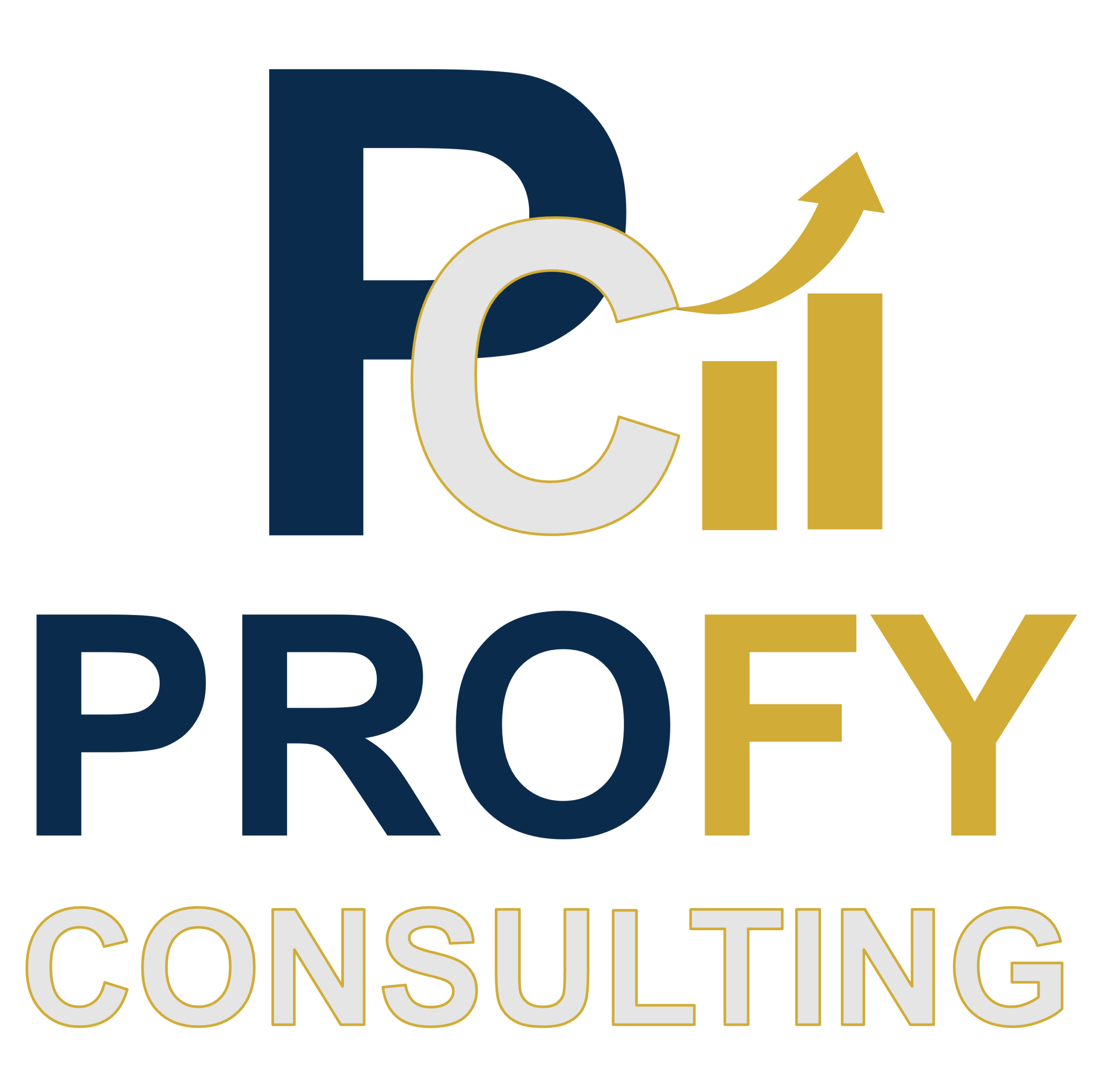 PROFY CONSULTING – Création de sites web